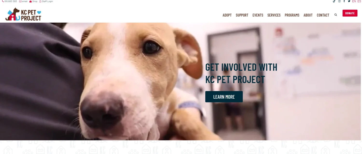 KC-Pet-Project