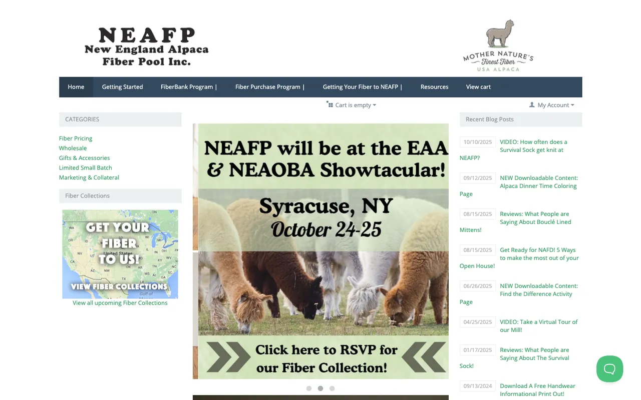Home page mockup NEAFP