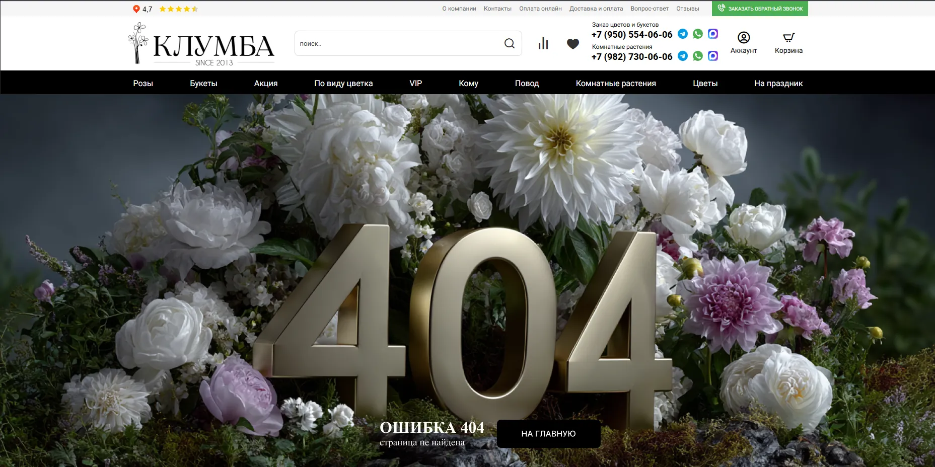 404, chosen version