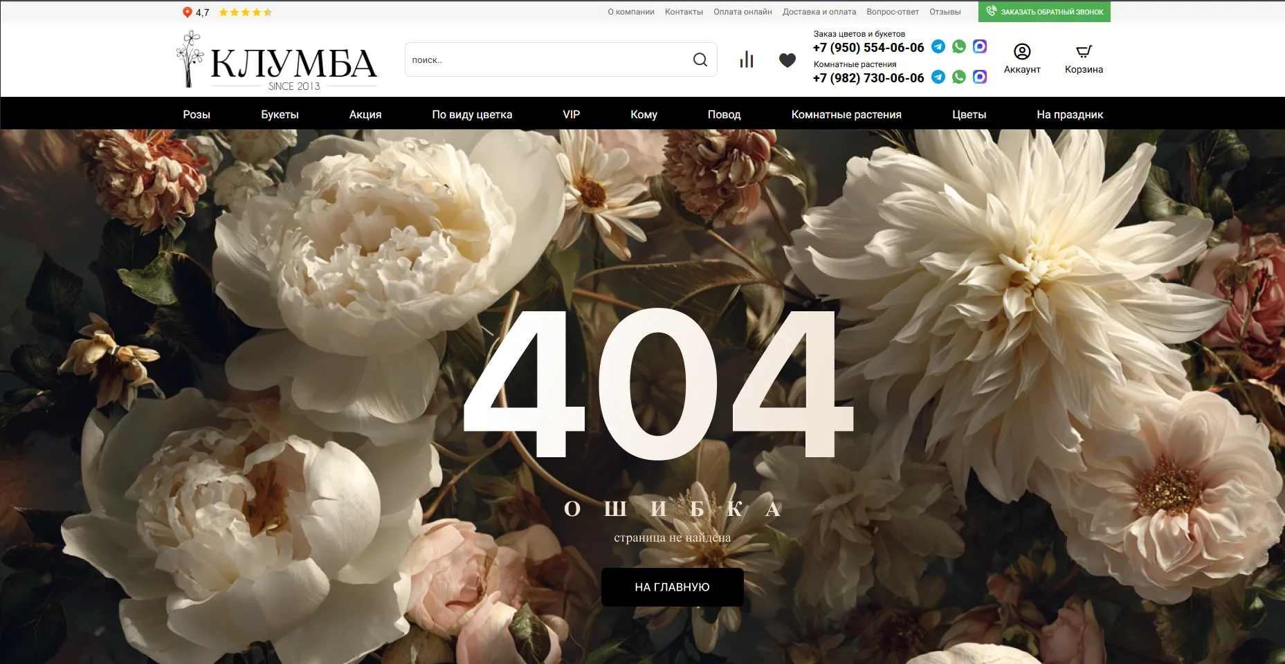 404, second version