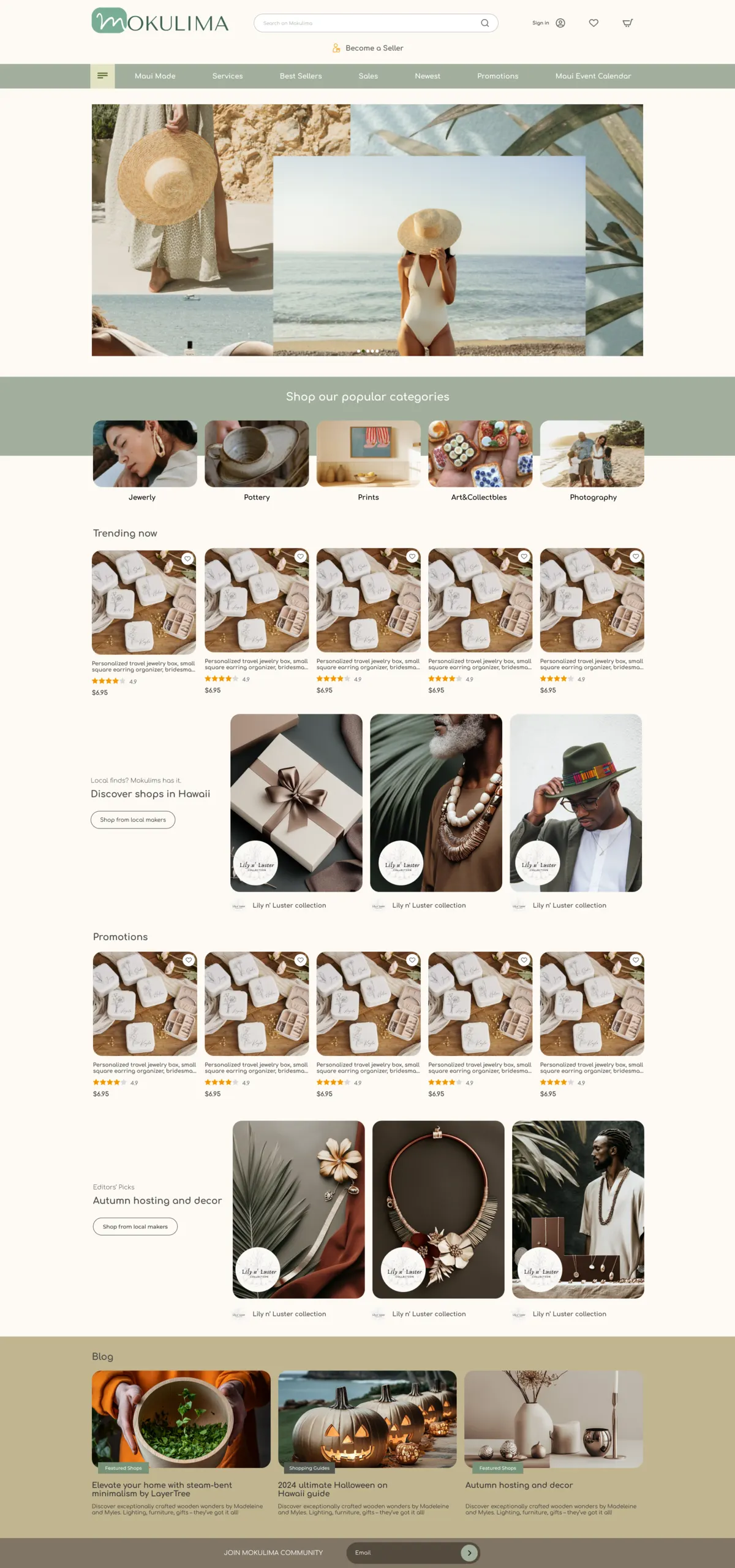 Mokulima home page mockup