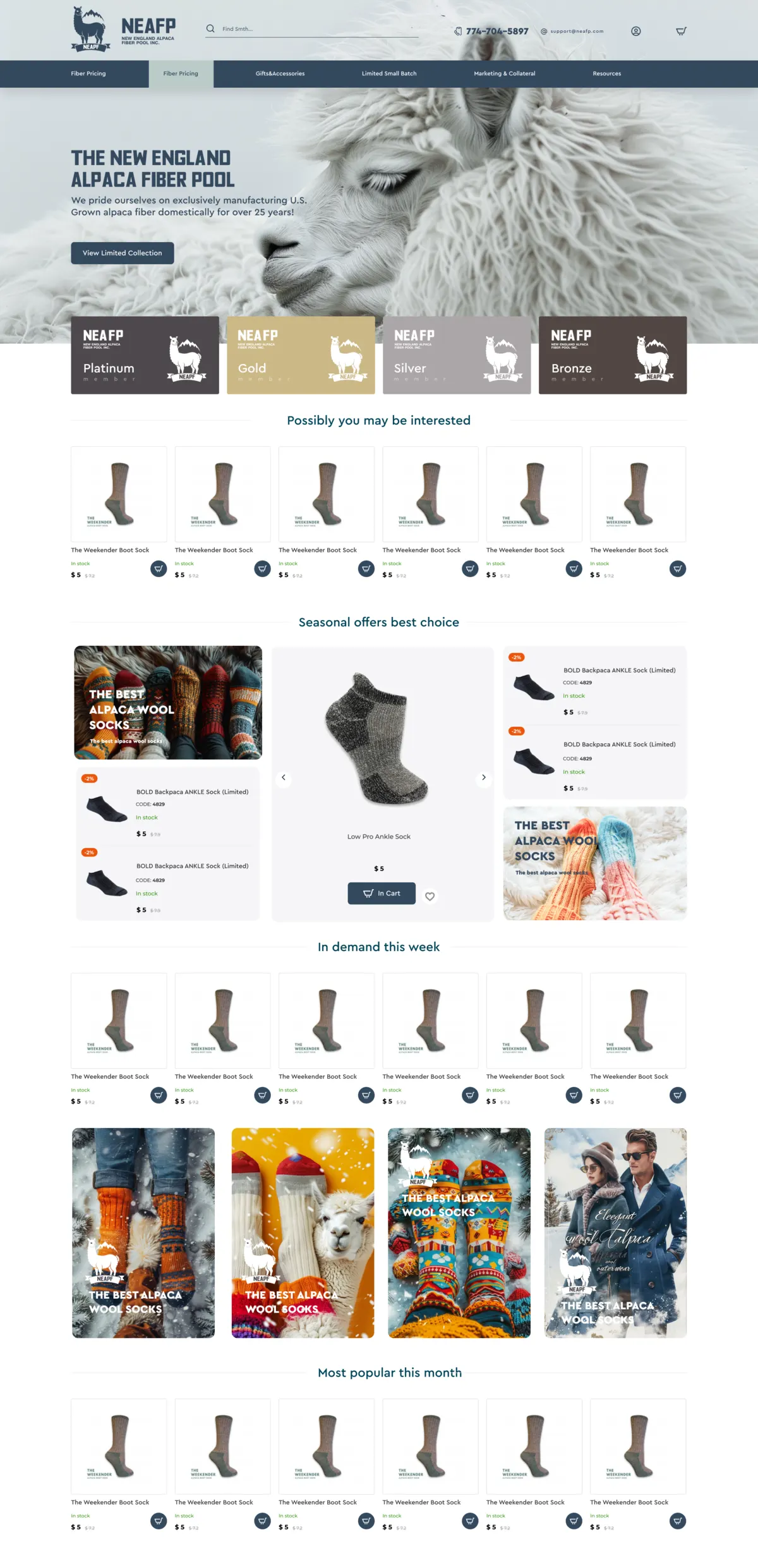 NEAFP home page mockup